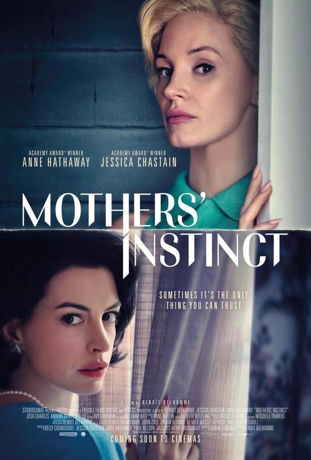 مشاهده فيلم Mothers Instinct 2024 مترجم