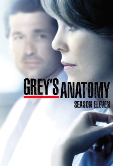 مشاهدة مسلسل Grey’s Anatomy موسم 11 مترجم كامل