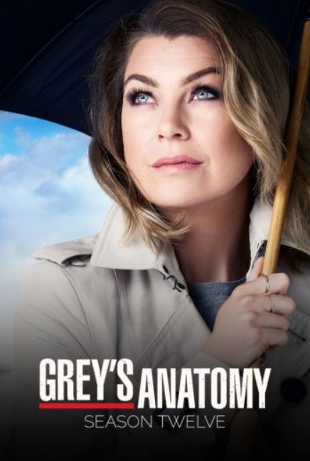 مشاهدة مسلسل Grey’s Anatomy موسم 12 مترجم كامل