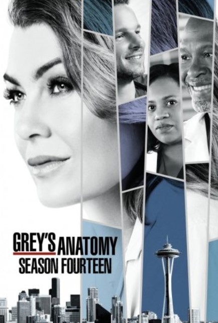 مشاهدة مسلسل Grey’s Anatomy موسم 14 مترجم كامل