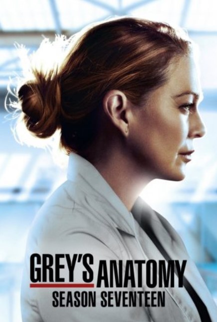 مشاهدة مسلسل Grey’s Anatomy موسم 17 مترجم كامل