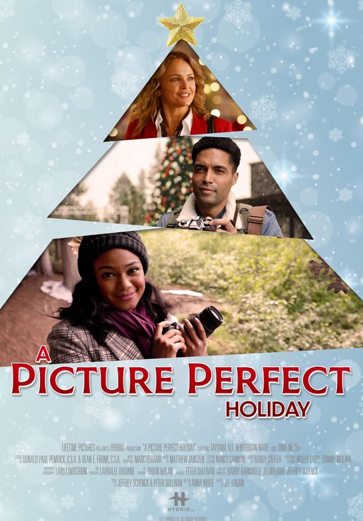 مشاهدة فيلم A Picture Perfect Holiday 2021 مترجم