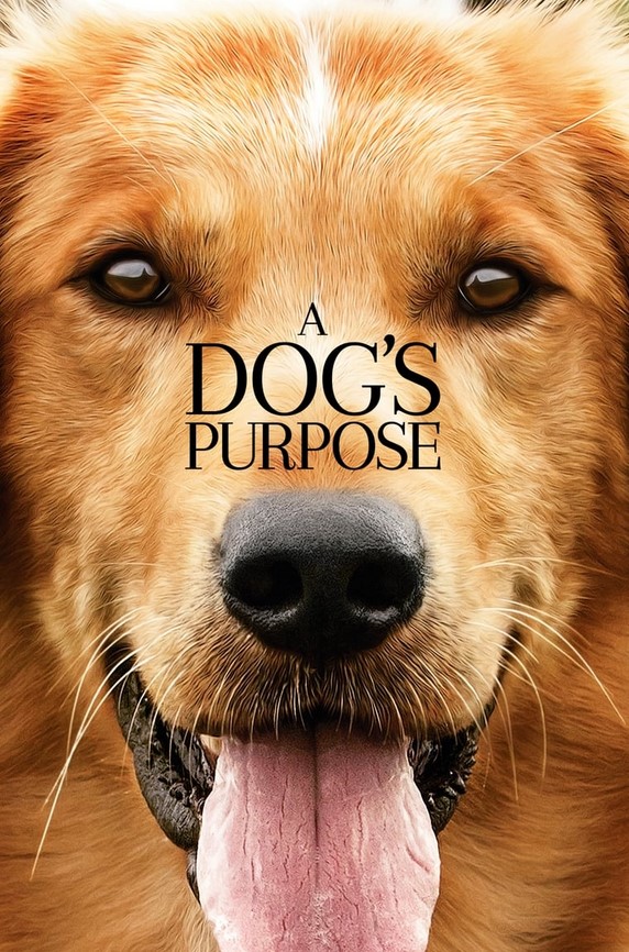 مشاهدة فيلم A Dog’s Purpose 2017 مترجم