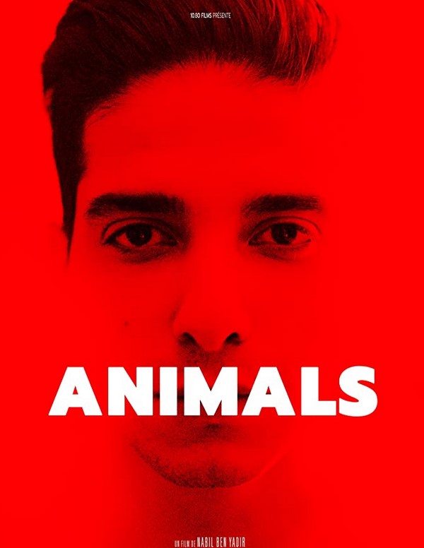 فيلم Animals 2021 مترجم