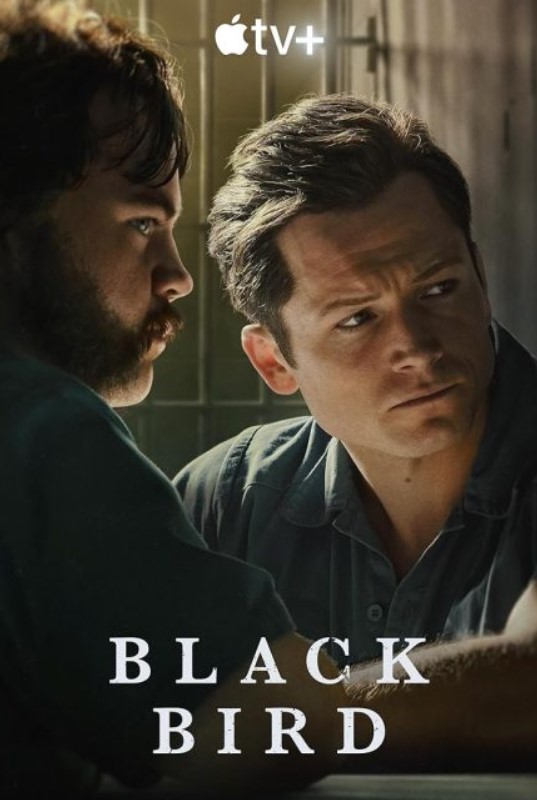 مشاهدة مسلسل Black Bird موسم 1 مترجم كامل