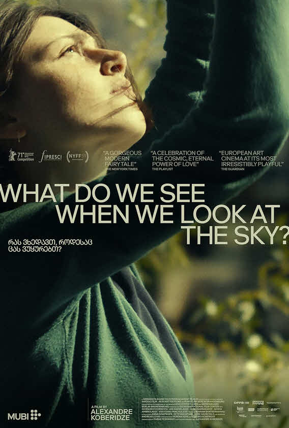 فيلم What Do We See When We Look at the Sky? 2021 مترجم