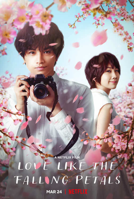 مشاهدة فيلم Love Like the Falling Petals 2022 مترجم