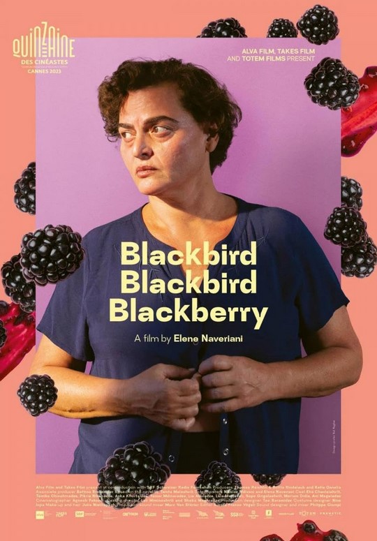 مشاهدة فيلم Blackbird Blackbird Blackberry 2023 مترجم