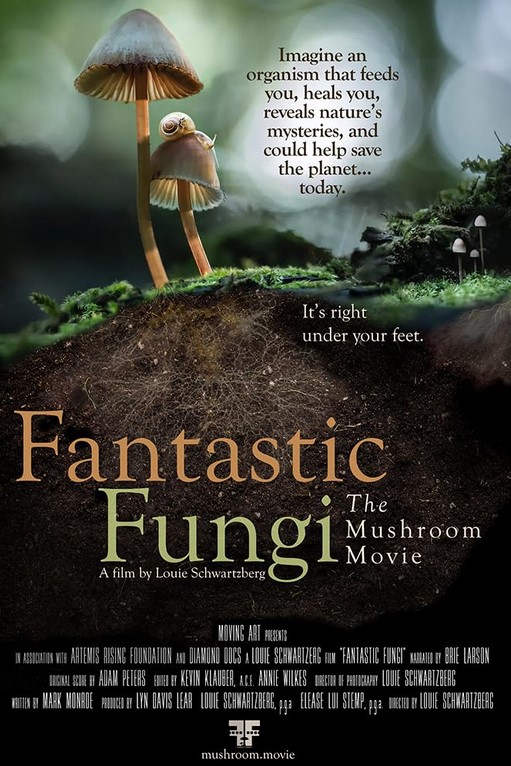 مشاهدة فيلم Fantastic Fungi 2019 مترجم