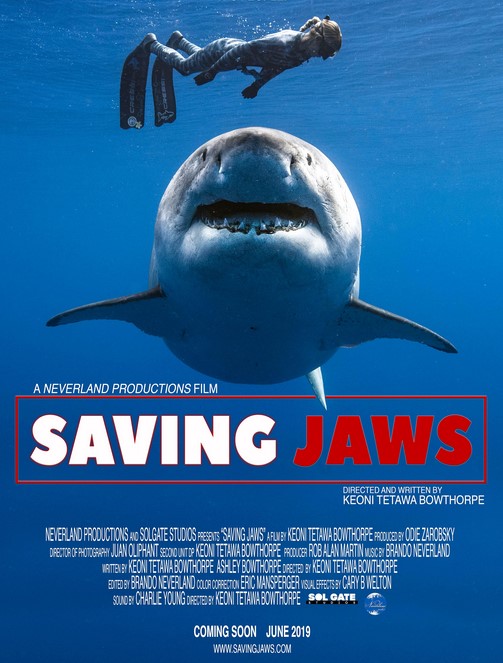 مشاهدة فيلم Saving Jaws 2019 مترجم