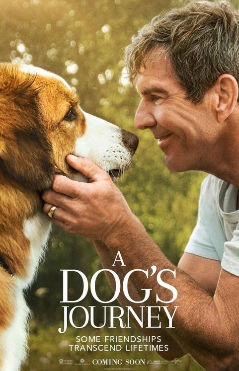 مشاهدة فيلم A Dog’s Journey 2019 مترجم