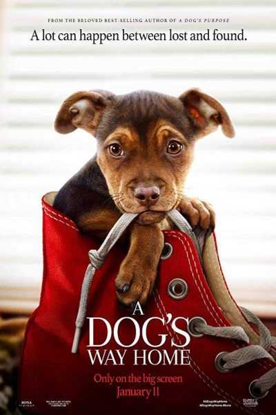 مشاهدة فيلم A Dog’s Way Home 2019 مترجم