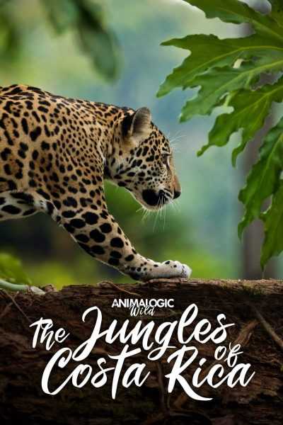 فيلم Animalogic Wild The Jungles of Costa Rica 2018 مترجم